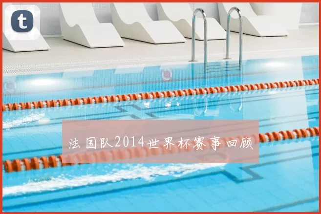 法国队2014世界杯赛事回顾
