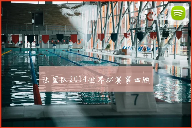 法国队2014世界杯赛事回顾