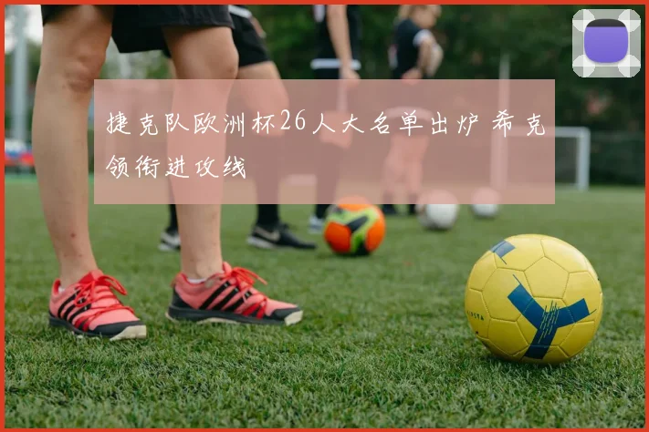 捷克队欧洲杯26人大名单出炉 希克领衔进攻线