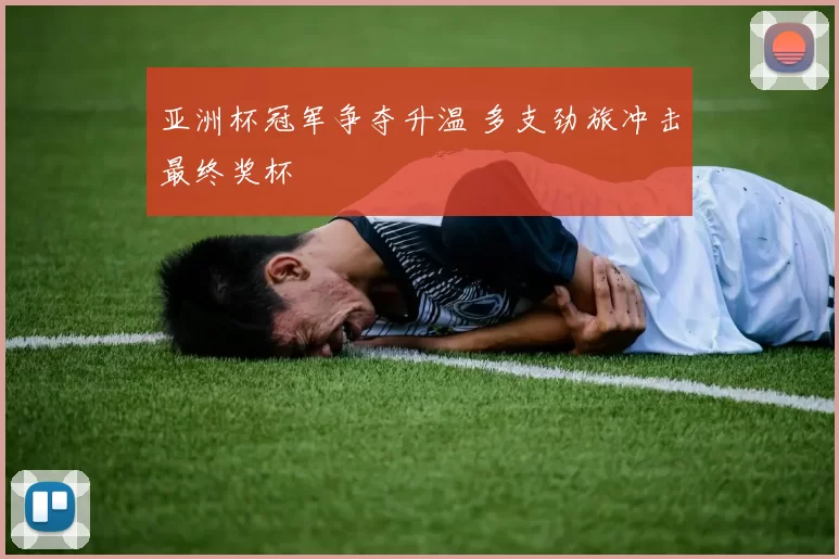 亚洲杯冠军争夺升温 多支劲旅冲击最终奖杯