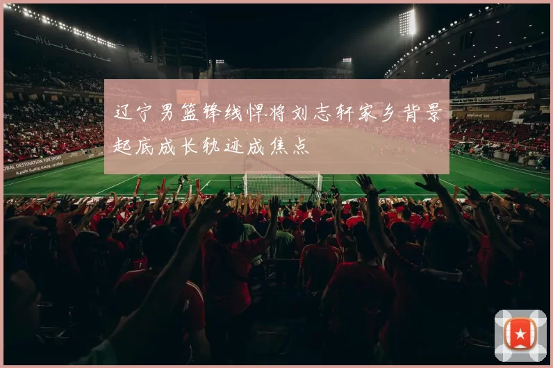 辽宁男篮锋线悍将刘志轩家乡背景起底成长轨迹成焦点